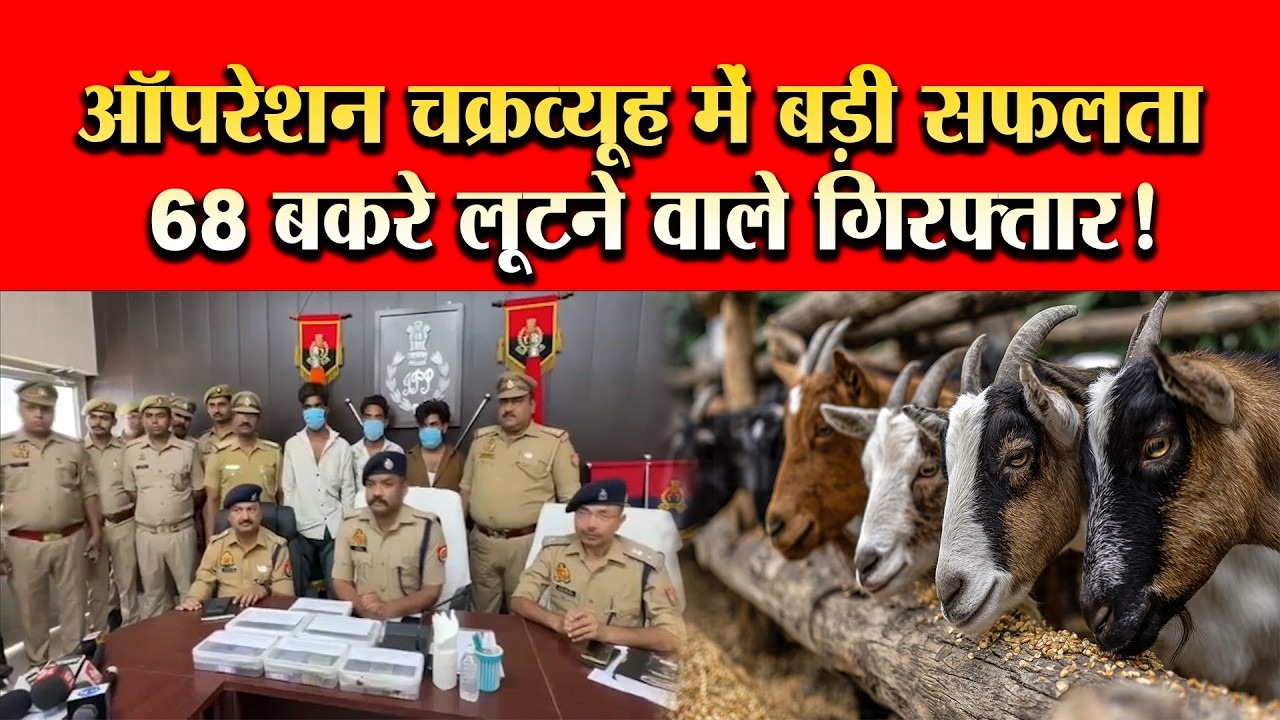 अमेठी पुलिस का बड़ा एक्शन, 15 लाख के बकरे लूटने वाले अंतरजनपदीय गिरोह का पर्दाफाश