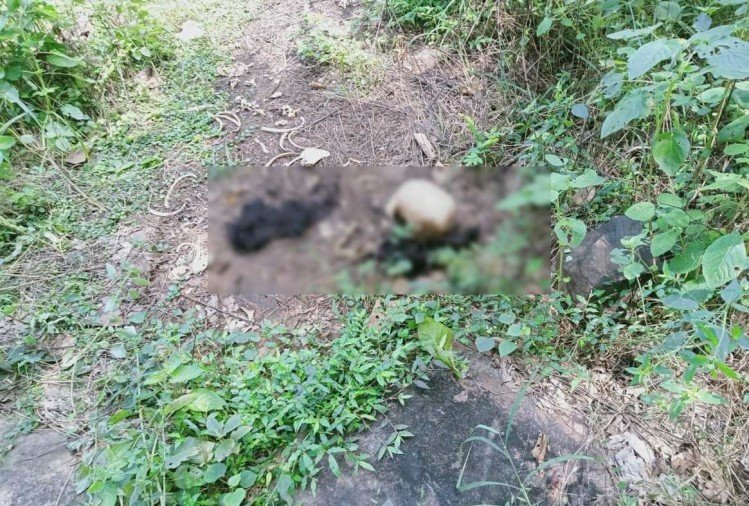sisters skeleton found in mirzapur forest 1632332053