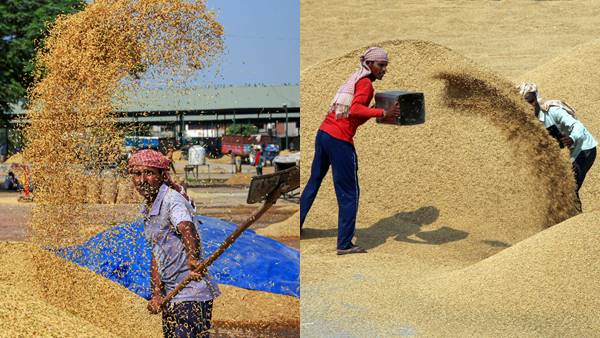 गेहूं के बाद चावल के एक्सपोर्ट पर भारत के बैन से दुनिया में अफरातफरी, 4 दिन में ही बढ़ी महंगाई