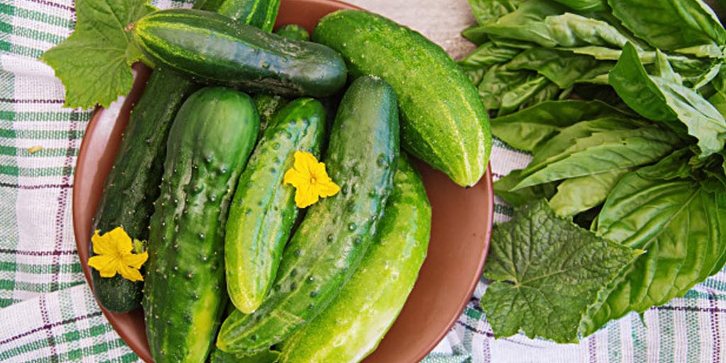 Cucumber Side Effects: खाने के साथ कभी न खाएं कच्चा खीरा, वरना सेहत को हो सकते हैं ऐसे नुकसान