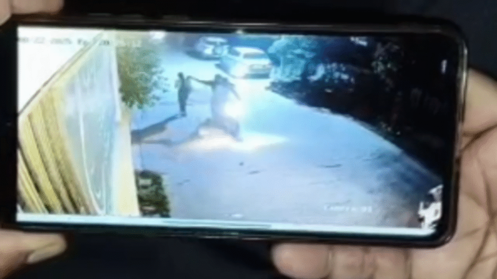 Screenshot 203