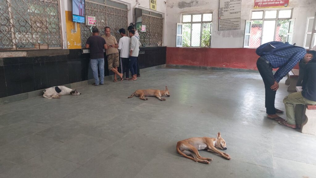 News Time Nation Sultanpur: रेलवे स्टेशन की त्रुटियों पर लोगों की शिकायतें तेज, सुरक्षा और सुविधाओं पर भारी सवाल 2 WhatsApp Image 2025 08 27 at 18.32.57