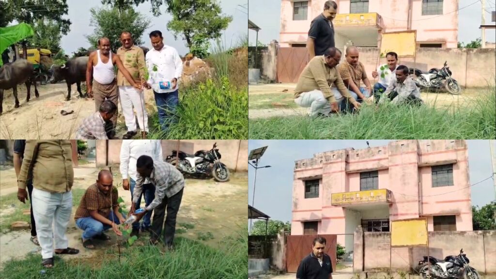 News Time Nation Sultanpur: “एक पेड़ मां के नाम” अभियान में सुल्तानपुर में हुआ पौधारोपण, विधायिका महाराजी देवी को समर्पित 2 White Black Modern Photo Collage How to Pose Youtube Thumbnail 61