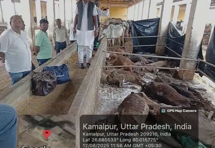 बिल्हौर के कमालपुर गौशाला में योगी सरकार का बड़ा घोटाला, पूर्व विधायक प्रत्याशी रचना सिंह ने उठाया मुद्दा