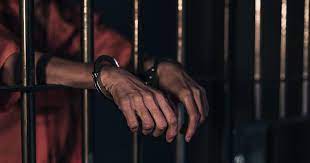 WhatsApp Image 2025 11 21 at 5.43.53 PM