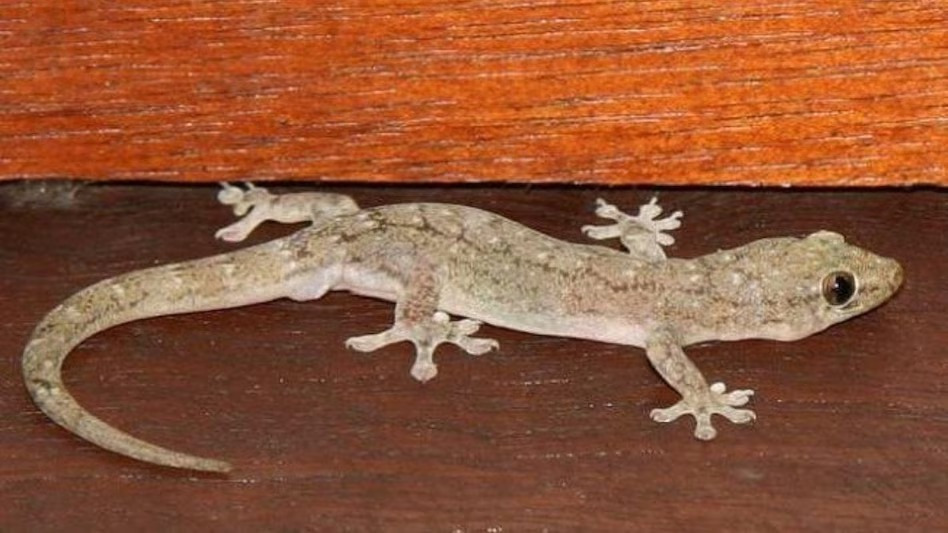 WhatsApp Image 2025 11 21 at 5.44.09 PM 2