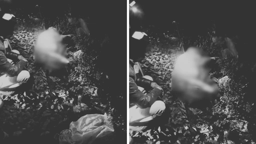 11 12 2025 tiger death mp 1