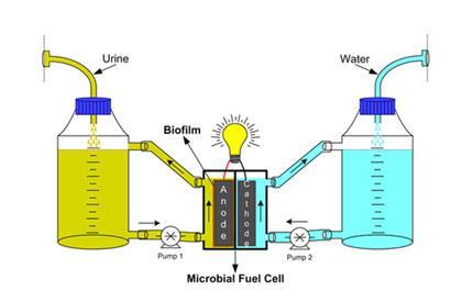 पेशाब से बिजली : चार नाइजीरियाई किशोरियों का क्रांतिकारी आविष्कार 3 124708 urine fuel cells 410 tcm18 209641