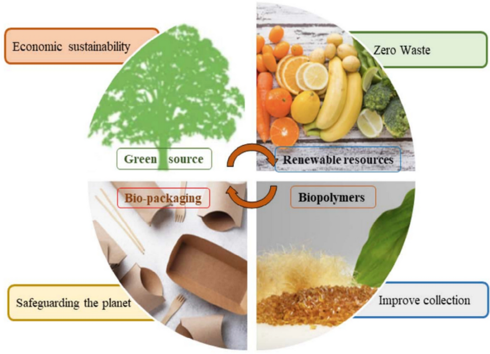 तापमान और नमी बताएगा अब नया बायोडिग्रेडेबल सेंसर टैग, वैज्ञानिकों की बड़ी खोज 4 41207 2024 627 Fig1 HTML
