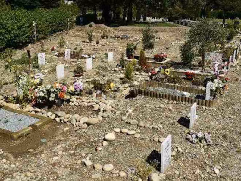 4264145 japan muslim cemetry