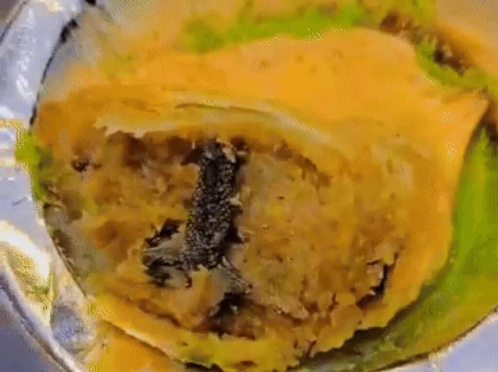 मेरठ में ऑनलाइन फूड में छिपकली मिलने से ग्राहक की तबीयत बिगड़ी, अस्पताल में भर्ती 2 WhatsApp Image 2025 12 10 at 17.35.25 1