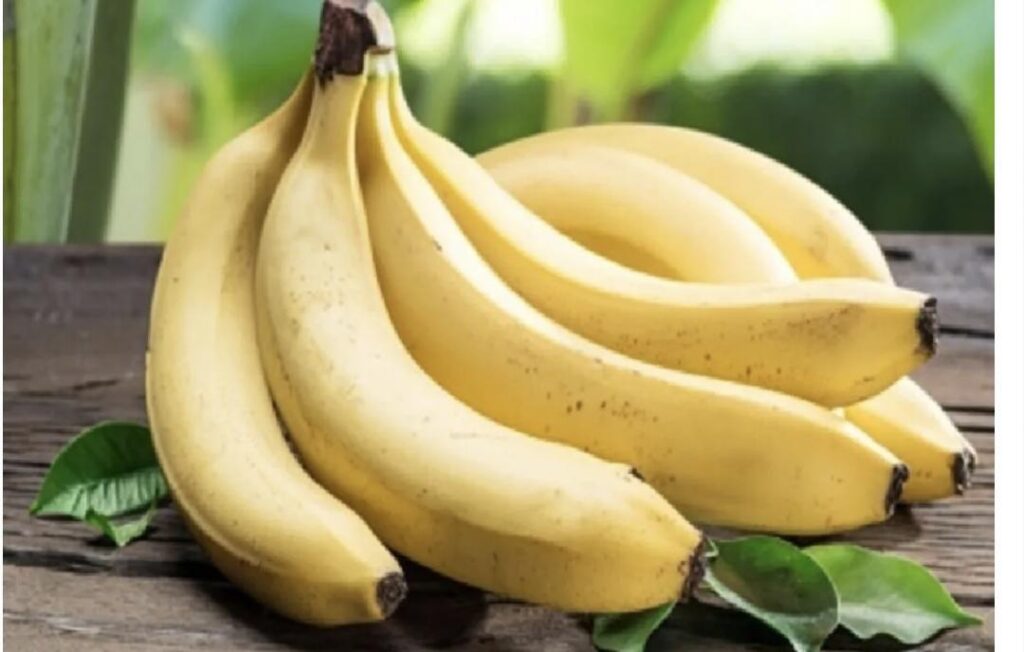 तमिलनाडु के इरोड में दर्दनाक हादसा: केला खाते समय दम घुटने से 5 साल के मासूम की मौत 3 img 1764908439576 760